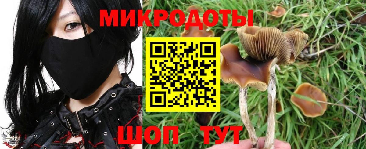 Галлюциногенные грибы мухоморы  Вход с VPN  Старая Купавна 